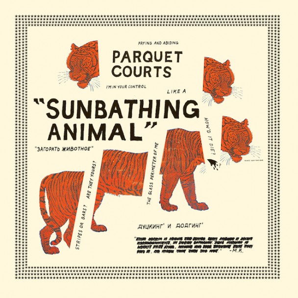 Parquet-Courts-Sunbathing-Animal
